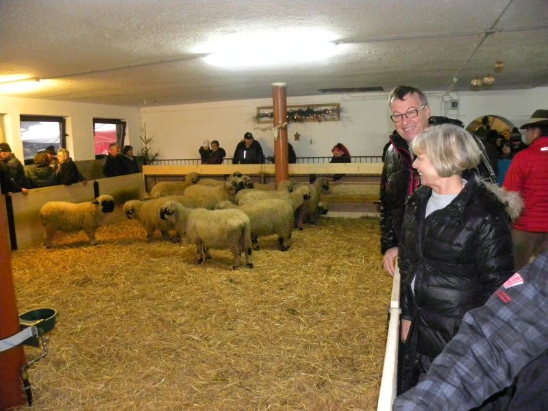 Zuchtwart des Tiroler Schafzuchtverbandes Jaufenthaler Johann mit seiner Gattin