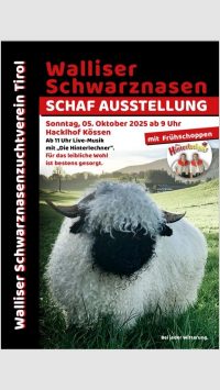 Walliser Schwarznasenausstellung in Kössen