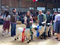 Jungzüchterwettbewerb für Schafe und Ziegen in Imst am 16. April 2022!!!